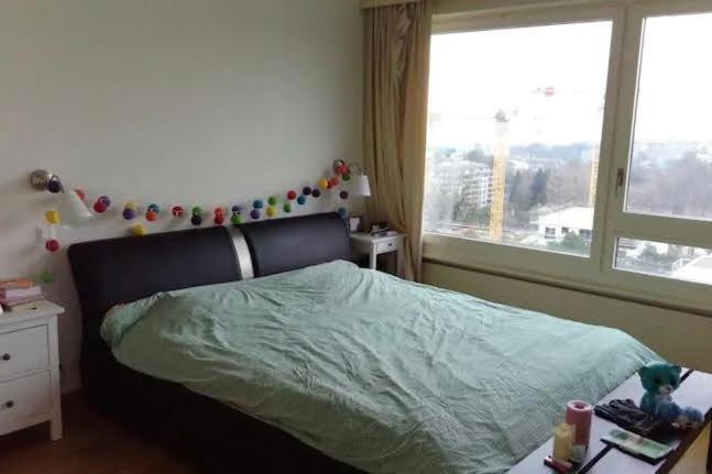 Central Furnished 2br In Appartamento Ginevra
